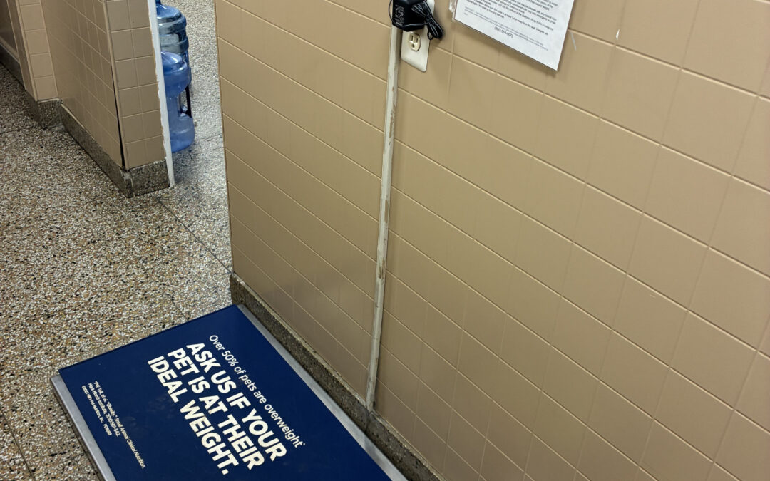 Veterinary Platform Scale