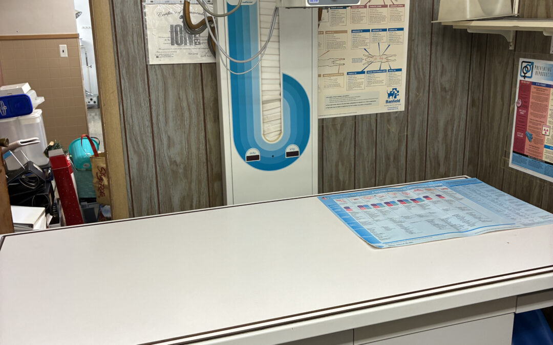 Veterinary X-Ray System